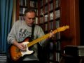 SEVENTH SON (J. Hammond Jr.) - The Blues Sessions #1