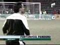Basarab-Panduru