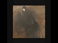Halo Secret Message