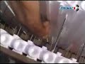 www.euromac2icf.com - ICF - MHP - Video 3 3