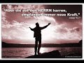 der löwe und das lamm.wmv