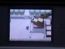 pokemon Diamond/Pearl invisabilaty cheat