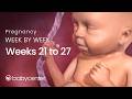 Inside Pregnancy: Weeks 21-27 | BabyCenter Video