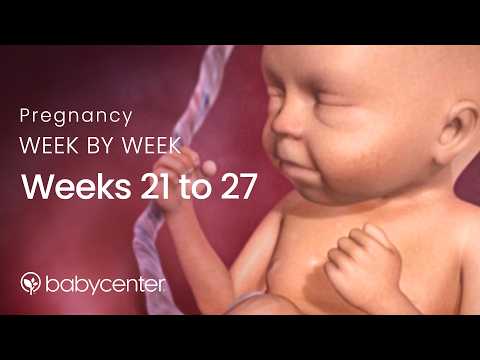 how to care during 6th month of pregnancy