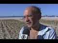 RIO DE JANEIRO - O JARDIM DA MORTE