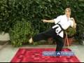 Koden Kan Karate Moves for Beginners : Short Side Thrust Kick in Koden Kan Martial Arts