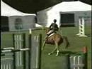 Show Jumping and Dressage- Teenagers