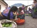 Doing Business 2009: Five Years of Reforms
