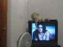 Lucas, the craziest cat on earth, part 3