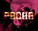 Promo Fiesta Basic Elements en Pacha ( Potala Films )