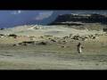 videos de Tibet, Mount Kailash and lake Mansarovar.