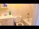 Newly Renovated 3BR in Clinton Hill w/shared backyard $2,500