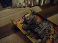 Beanie Baby Dowhill Durby