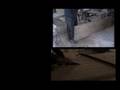 videos de Kahoy Atbp..