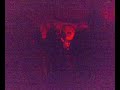 Disco Clod 2008