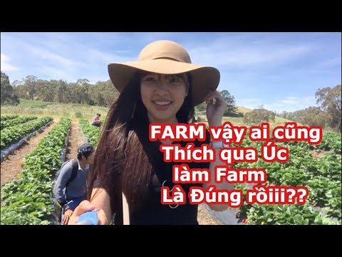 VLOG 95 BẤT NGỜ FARM Ở ÚC? ĐÃ HIỂU VÌ SAO ĐI ÚC LÀM FA.RM KIẾM TIỀN DỄ, TOP ĐỊA ĐIỂM DU LỊCH Ở ÚC