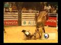 RODEIO BRASILEIRO