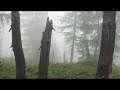 Piccolo ma stupendo specchio d'acqua ticinese, immerso in una natura selvaggia e variopinta, incastonato come una pietra preziosa tra alte e impervie cime. La misteriosa valle Verzasca è anche questo! Sentiero facile ma piuttosto lungo. C'è comunque il rifugio alpino!