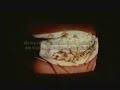 vid�oclip en berne des cowboys fringants