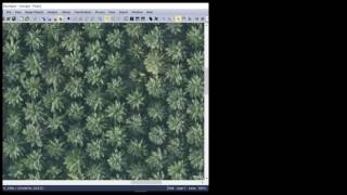 Menghitung Sawit Secara Otomatis