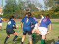 videos de foxy vs modena 2 11 08