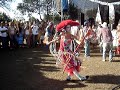 Seu Estrelo-Calango voador\"!