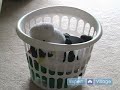 All About Baby Toys : How to Store Baby Toys All About Baby Toys : How to Store Baby Toys