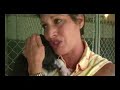An Animal Rescue Return to New Orleans (chapter 3)