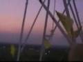 videos de The top of ADM back in the day