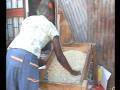 videos de Maize Flour Crisis About To End