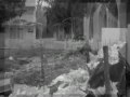 Plan Ambiental Institucional - UMSNH
