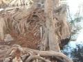 Plan Ambiental Institucional - UMSNH