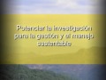 Plan Ambiental Institucional - UMSNH