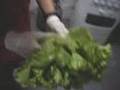 Salada