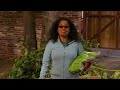 How to install an Eco friendly Lawn for a low maintainence grassy landscape