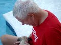 ozzy swimming