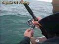 Fishing trip in 2007- seabass and jewfish la rochelle france
