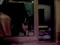 zeta-retreat.html