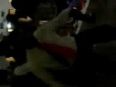 Dan�a insana preenche vazio!