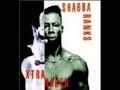 Shabba Ranks & Crystal \"DON\ Shabba Ranks & Crystal \"DON\