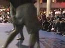 Dan Yi Grapplers Quest Match 2