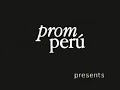 pisco  cultural heritage of peru  1