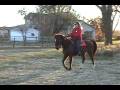 ali an bill 2.wmv