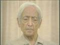 Krishnamurti - ¿Por qué sufre el ser humano?