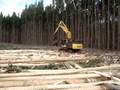 videos de Cabezal procesador Waratah HTH-610