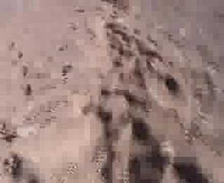 Descending Mt. Kenya with energy