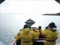 Whale Watching Oct 21 2008 10am Geoff oceanexplorations.com