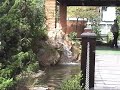 Pingus finalizado.avi