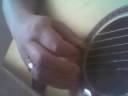 Rinne plectrum tokkel Rinne plectrum tokkel