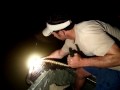 gator fight